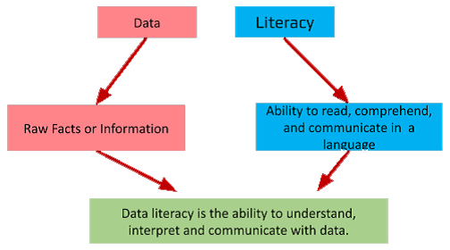 Basics of Data Literacy on Quizmanthon.com